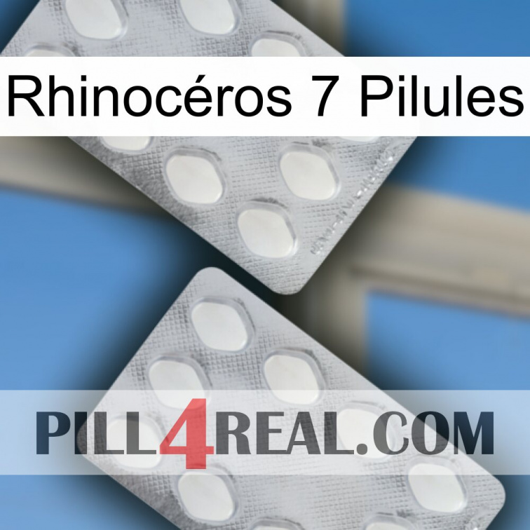 Rhinocéros 7 Pilules 17